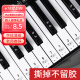 曼尔乐器钢琴贴纸电子琴通用琴键贴88/61/54键通用钢琴键盘贴纸简谱音符键