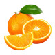 集南鲜 赣南脐橙 新鲜现摘橙子 产地直发 3斤毛重现摘体验装
