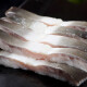 三都港 新鲜活鳗鱼淡水河鳗鱼整条现杀三去处理速冻海鲜水产冷冻生鲜鱼 生切鳗鱼段200g*4包