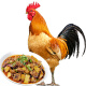 庆方堂林间散养青脚土公鸡1.8kg 放养248天 大公鸡鸡肉整鸡生鲜