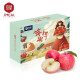 京觅 山东栖霞红富士苹果 12粒大果 3.2kg以上 单果230g+ 生鲜水果 京东生鲜自有品牌