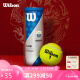 Wilson威尔胜大师赛通用网球比赛3只一罐【球面数字随机】 WR8208802001