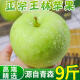 静羽正宗王林苹果 青森脆甜青苹果萍果鲜水果日本引进品种丑苹果整箱 大果 5斤