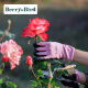 Berry&Bird 园艺手套(粉色) 家庭花园养花种植整理 防刺防滑防水  园艺工具 