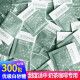 Taikoo太古白糖包 优级白砂糖 纯黑咖啡调糖伴侣 3gX300小包装 白糖包5g*300小包