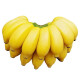 城南堡花广西小米蕉 现摘小香蕉 新鲜水果 小米蕉约9斤装