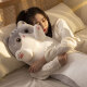 捉趣（ZHUOQU）猫咪抱枕公仔毛绒玩具长条布娃娃玩偶睡觉夹腿大号六一儿童节礼物
