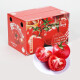 千朵云山东烟台普罗旺斯西红柿 小番茄自然熟应季蔬菜水果可选礼盒装 5斤精美礼盒装