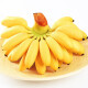 润味来广西新鲜小米蕉自然熟糯米蕉超甜皇帝蕉小香芭蕉当季水果甜香蕉 2斤 尝鲜装