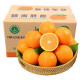 赣南脐橙江西赣州脐橙橙子 当季时令水果礼盒 脐橙手剥橙 3斤 60mm试吃装净重2.5斤