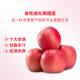 京鲜生烟台红富士苹果12个礼盒净重2.1kg起单果160-190g水果