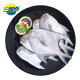 三都港 冷冻东海银鲳鱼550g 平鱼 深海鱼 生鲜 鱼类 海鲜水产 烧烤食材