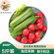 蔬香客 圣女果水果黄瓜组合新鲜蔬菜水果番茄荷兰乳瓜千禧净重4.7-5斤 圣女果小黄瓜混装5斤优选