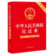 中华人民共和国民法典（大字版 含新司法解释）正版:法律条文·司法解释·典型案例