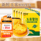 馋香泽玉米浆包125g*5 甜糯鲜玉米饼糍粑杂粮粗粮早餐东北特产
