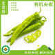 北菜园有机尖椒250g 北京延庆种植有机蔬菜 绿尖椒 精包装绿尖椒