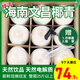 鲜友季海南文昌椰子椰青大果新鲜椰子孕妇椰子现摘现发送开椰器和吸管 9枚装配开椰器吸管（单果900g+