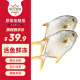 恒兴食品生态原条金鲳鱼900g 2条装 BAP认证 深海鱼 生鲜海鲜 火锅烧烤