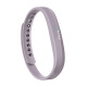 FITBITFitbit Flex2官方款硅胶表带智能手表替换腕带官方款按扣适用男女 浅灰色 S码 140-170mm