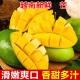 越南青芒果新鲜水果 应季孕妇水果现摘热带水果 9斤带箱(净重8.5) 大果单果300-400g
