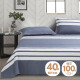 艾薇床单单件 双人床单1.5m床单全棉被单床罩 时尚秀场  230*250cm