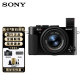 索尼（SONY）DSC-RX1RM2 黑卡全画幅数码相机  约4240万有效像素 rx1rm2 DSC-RX1RM2全画幅黑卡 官方标配【不含内存卡/相机包/滤镜等配件】