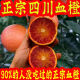 正宗四川塔罗科血橙红心果冻橙子带箱新鲜孕妇水果红肉橙 9斤（净重8.5） 60mm-70mm中果