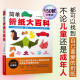 简单折纸大百科 150款经典折纸作品 折纸教程书 儿童小学初中学生折纸书小林一夫的折纸大百科折纸大全手工书