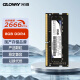 光威（Gloway）8GB DDR4 2666 笔记本内存条 战将系列