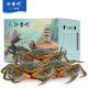 【活蟹】江食代 三门青蟹 鲜活 肉蟹公蟹（5-6两/只）3只 肉鲜少黄螃蟹生鲜水产礼盒装