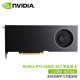 英伟达（NVIDIA RTX A6000 48G GDDR6人工智能GPU专业图形显卡 RTX A6000 48G(工包）