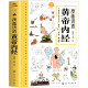 漫画讲透黄帝内经 皇帝内经漫画版 黄帝内经原著中医养生 中医养生黄帝内经漫画 阅读狂欢节