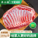 羊小柒【烧烤季】宁夏滩羊肉 生鲜小羔羊肋排1000g/袋 无脊羊排骨 食材