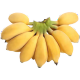 立始广西小米蕉酸甜小香蕉应季水果现摘青色地方特产（需催熟） 5斤 优选装