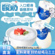 马三三新疆原味老酸奶手工酸奶产地直发全脂风味发酵乳龙年礼盒 老酸奶180g*12瓶