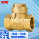 冰禹 AB4065 黄铜单向阀 防倒流逆止阀 挡板卧式止回阀 DN50（1个）