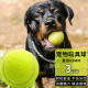 悠梵萌狗玩具球耐咬户外球小中大型犬磨牙弹力宠物训练球网球3个装