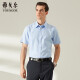 雅戈尔 衬衫男士 2022夏季青年男士商务休闲短袖衬衫 GSDP104982IJY 浅蓝，提花 42