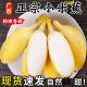 正宗广西小米蕉新鲜水果当季自然甜现摘生鲜小香蕉 9斤带箱净重 8.5斤