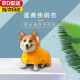 智宙狗狗雨衣狗衣服宠物用品小型犬全包反光户外防风保暖衣服防水雨披 3XL【适合20到28斤的毛孩子】