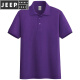 吉普（JEEP）24夏新款240克纯棉polo男t恤短袖翻领宽松纯色珠地全棉汗衫 紫色 XL155至175斤左右