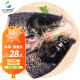 仙泉湖花鲢鱼头 600g*1个 冷冻双边大胖头鳙鱼 海鲜水产食材