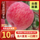 洛川苹果（luochuanapple）陕西延安红富士时令水果苹果新鲜糖心产地直发脆甜多汁可以带皮吃 80mm丑果8.5斤爆卖20±颗有空格