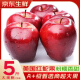 松鼠沫沫美国红蛇果进口新鲜苹果水果当季孕妇生鲜大果整箱次日达 A+商超果王（单果200g-300g） 净重2500g