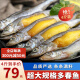 海宏盈 满籽多春鱼 特大多籽鱼鱼子海鲜鱼类生鲜烧烤食材 4斤装特大规格15-17厘米