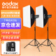 神牛（Godox） DP600II二代两灯套装600w 人像家具静物闪光灯补光灯摄影棚器材 两灯套装