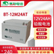 赛特BT-12M24AT蓄电池12V24Ah/20hr海湾消防主机UPS备用电池