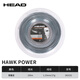 海德（HEAD）大盘网球线Hawk 120米 200米聚酯硬线网球拍线 Hawk Power-雾霾蓝/17G大盘200米