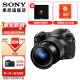 SONY 索尼  DSC-RX10M4 黑卡数码相机 RX10IV 第四代超长焦黑卡相机rx10m4 黑色 标配