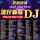 柏林之音汽车载u盘无损音乐2024劲爆嗨曲DJ歌曲高音质重低音新歌视频优盘 32G【抖音流行DJ】1500首+视频